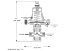 Differential Pilot | 625-RPD | Singer Valve