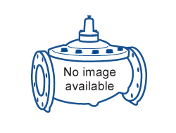 Main Valves Options | 106/206/306-NYM | Singer Valve