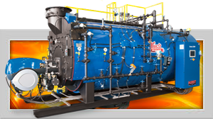 Series 250W Boilers