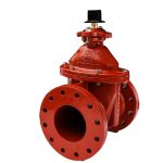 3-12 INCH A-USP1 RWGV CLASS 250 FLXFL