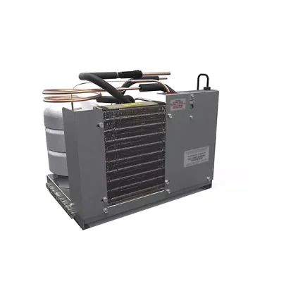 Elkay® Remote Chiller Non-Filtered 8 GPH 220V